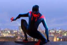 Spider Man: Into the Spider Verse