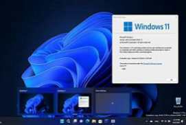 Windows 11 Pro 22H2 (22610.1) by FBConan